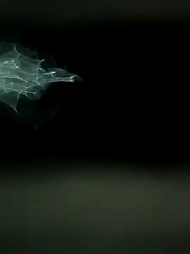 maharashtra boy mh19 online show from March 2026 08:45:02 PM