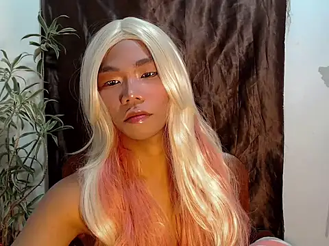 Snapshot of shopiaxox1 chatting on February 2026 04:13:01 AM shopiaxox1 online show from February 2026 04:13:01 AM