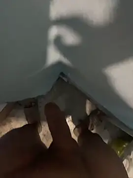 tardecaliente online show from February 2026 07:07:01 AM