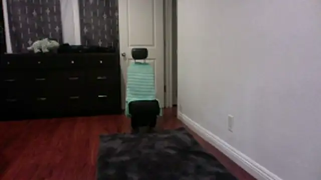 Snapshot of dany217965 chatting on March 2026 03:45:02 AM dany217965 online show from March 2026 03:45:02 AM