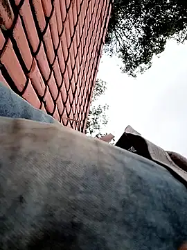 nego5628 online show from April 2026 12:06:02 PM