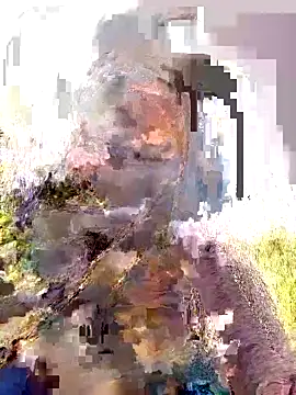 Snapshot of Pallavi_hote chatting on February 2026 06:02:02 AM Pallavi hote online show from February 2026 06:02:02 AM