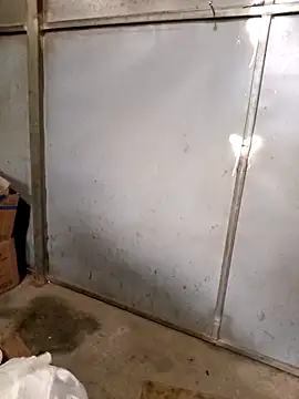 Girl-crazy1 online show from March 2026 10:42:01 AM