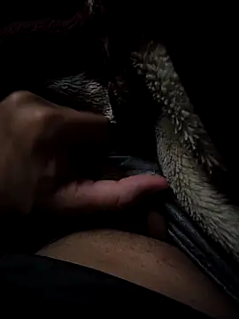 Snapshot of MoMnsi chatting on February 2026 06:01:01 AM MoMnsi online show from February 2026 06:01:01 AM