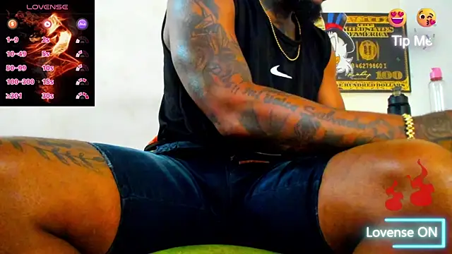 ZIANY 25CM online show from March 2026 05:41:01 PM