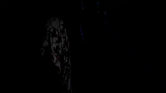 Snapshot of SassyXindian chatting on April 2026 05:17:02 PM SassyXindian online show from April 2026 05:17:02 PM