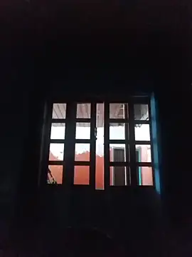 vinicius ribas online show from February 2026 03:09:02 PM