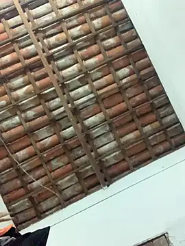 Navresseed online show from April 2026 02:59:02 AM