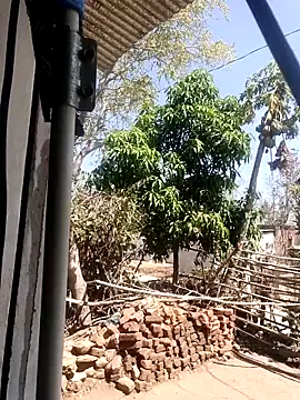 taniya0 online show from March 2026 06:31:02 AM