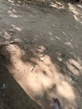 Snapshot of Locky_kamani chatting on February 2026 08:21:02 AM Locky kamani online show from February 2026 08:21:02 AM