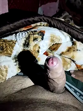 harryxxx82 online show from February 2026 07:37:02 AM