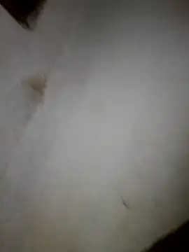 Snapshot of iwantolderwmn chatting on February 2026 01:45:01 AM iwantolderwmn online show from February 2026 01:45:01 AM