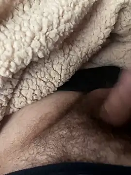 Snapshot of D4n13l47 chatting on February 2026 12:03:01 PM D4n13l47 online show from February 2026 12:03:01 PM