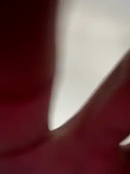 19daniboy online show from February 2026 03:34:02 PM