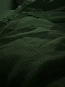 Snapshot of HornyStev19 chatting on February 2026 12:30:02 AM HornyStev19 online show from February 2026 12:30:02 AM