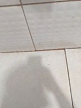 Snapshot of negopreto_ chatting on February 2026 08:52:01 PM negopreto online show from February 2026 08:52:01 PM