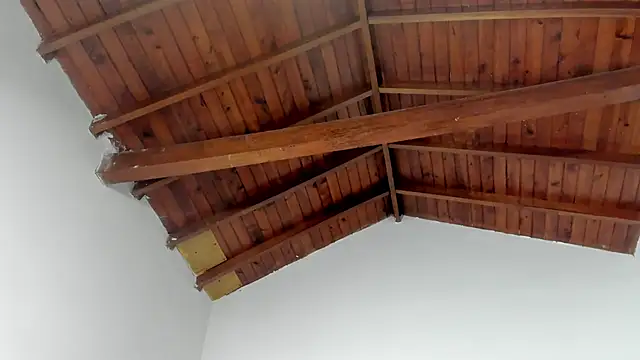 TonyPetrovjs online show from March 2026 07:36:02 AM