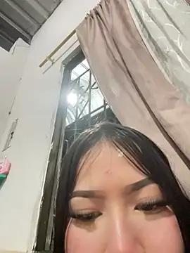 gatinholl online show from March 2026 12:38:02 AM