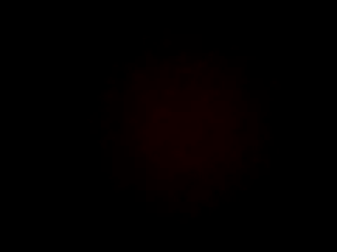 wifedesi7050 online show from April 2026 04:24:02 AM