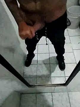 trox memide21cm online show from April 2026 06:20:01 PM