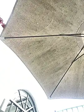 AdaPink  online show from April 2026 02:03:02 PM