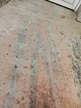 Snapshot of 67sanju chatting on March 2026 12:23:01 PM 67sanju online show from March 2026 12:23:01 PM