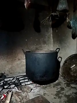 pic8800 online show from March 2026 07:09:02 AM