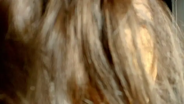 Snapshot of ambriosialove chatting on March 2026 11:27:02 AM ambriosialove online show from March 2026 11:27:02 AM