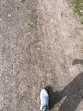 aras  25 online show from April 2026 09:15:01 AM