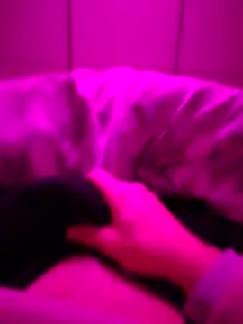 your favorite daddy22 online show from February 2026 03:38:02 AM