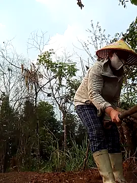 Heylen hooo online show from March 2026 01:49:03 AM