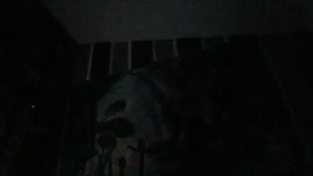 xoxchaarrxox online show from February 2026 07:07:01 AM