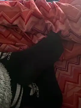 DAPHNE  00 online show from March 2026 09:17:02 AM