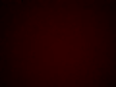 kiraa-007 online show from May 2026 03:53:02 PM