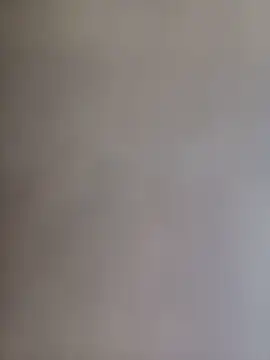 tallneck online show from June 2026 11:56:02 AM
