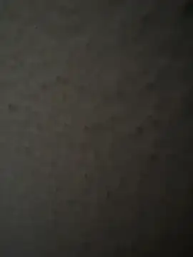 MIABCDZ online show from May 2026 01:58:01 AM