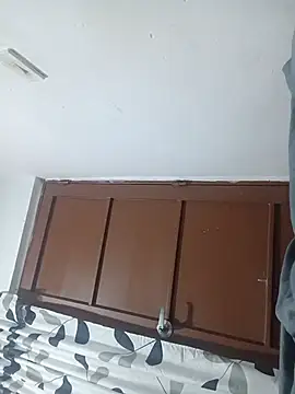 Snapshot of OpalineLineman chatting on March 2026 09:54:02 PM OpalineLineman online show from March 2026 09:54:02 PM