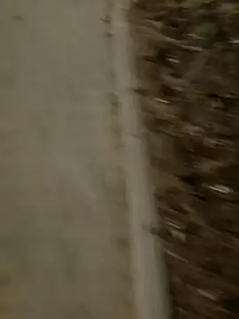 MarekPublicShow online show from March 2026 09:42:01 PM