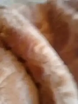 Snapshot of Shaun1212 chatting on July 2026 07:11:01 AM Shaun1212 online show from July 2026 07:11:01 AM