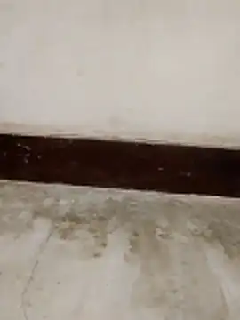 Student girl00 online show from March 2026 05:02:02 AM