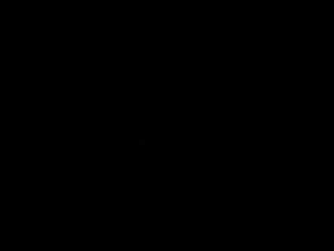 SoftAmjad online show from May 2026 02:46:01 PM