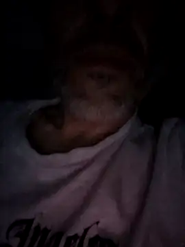 xcillox online show from March 2026 01:44:01 AM