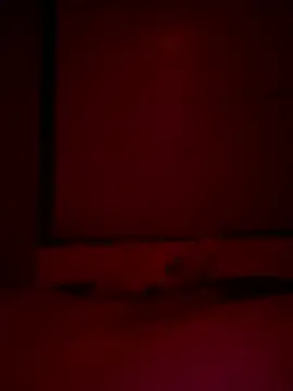 Foxmen9090 online show from March 2026 01:31:02 AM