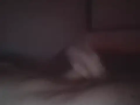 Foxmen9090 online show from March 2026 04:29:02 AM