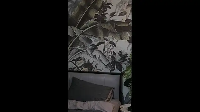 ZY6655 online show from March 2026 04:00:02 PM