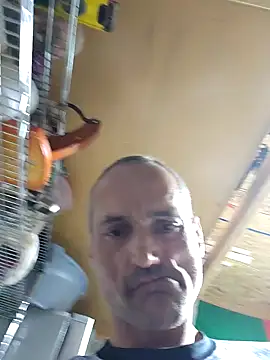 Brunogramata online show from March 2026 03:44:01 AM