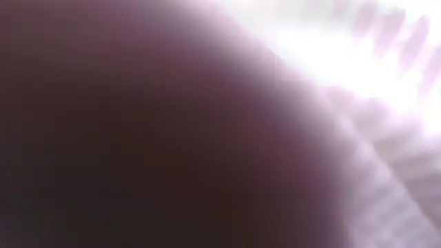 Snapshot of Lucia__vega chatting on May 2026 11:18:02 AM Lucia vega online show from May 2026 11:18:02 AM