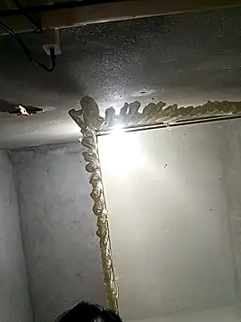 Candy-sexyy online show from April 2026 06:44:02 AM