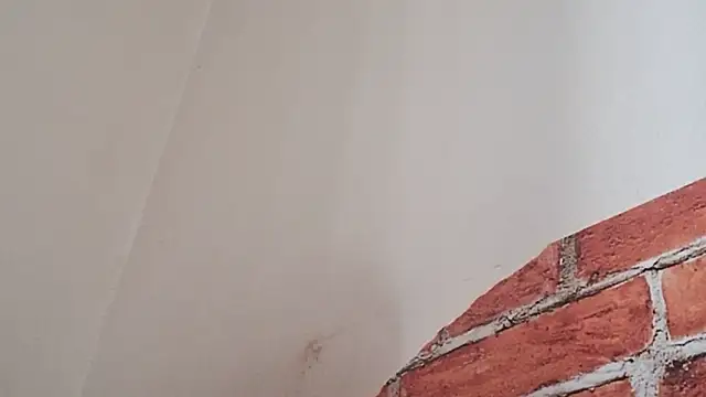 Sueliton2 online show from March 2026 05:34:01 PM