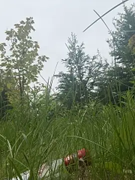 mango-kitty online show from May 2026 06:09:01 PM